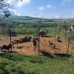 La Piccola Fattoria Сasa de vacaciones *
