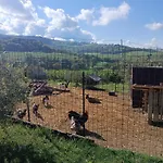 La Piccola Fattoria