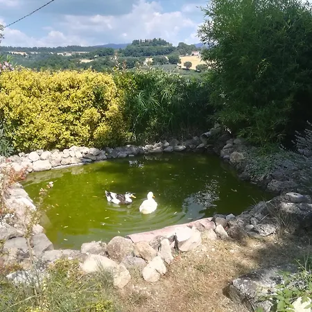 Prázdninový dům La Piccola Fattoria