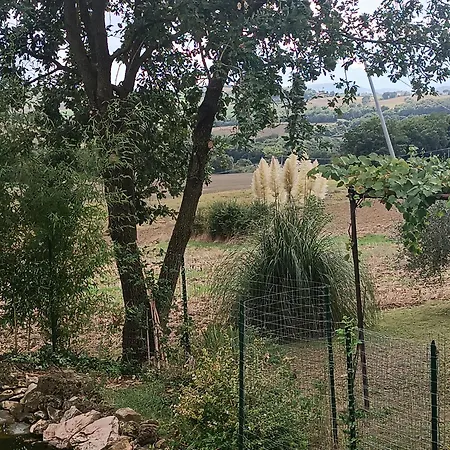 La Piccola Fattoria