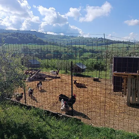 La Piccola Fattoria